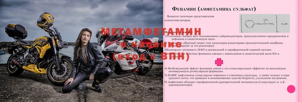 ПСИЛОЦИБИНОВЫЕ ГРИБЫ Осинники