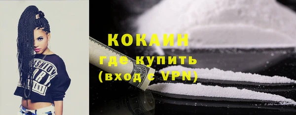 сатива Осташков