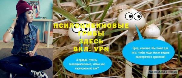 таблы Алексин