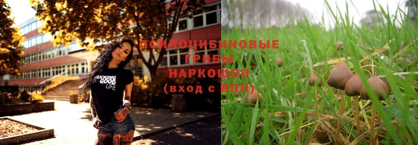 таблы Алексин